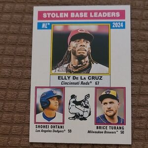 Topps Stolen Base Leaders Card - Pink, Blue, Yellow, Black, White